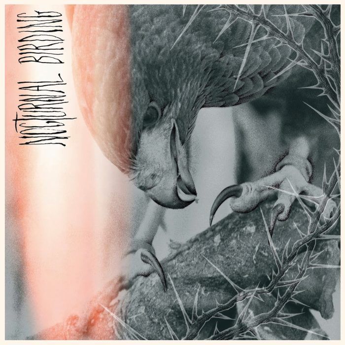 Author & Punisher Nocturnal Birding ***PRE ORDER***