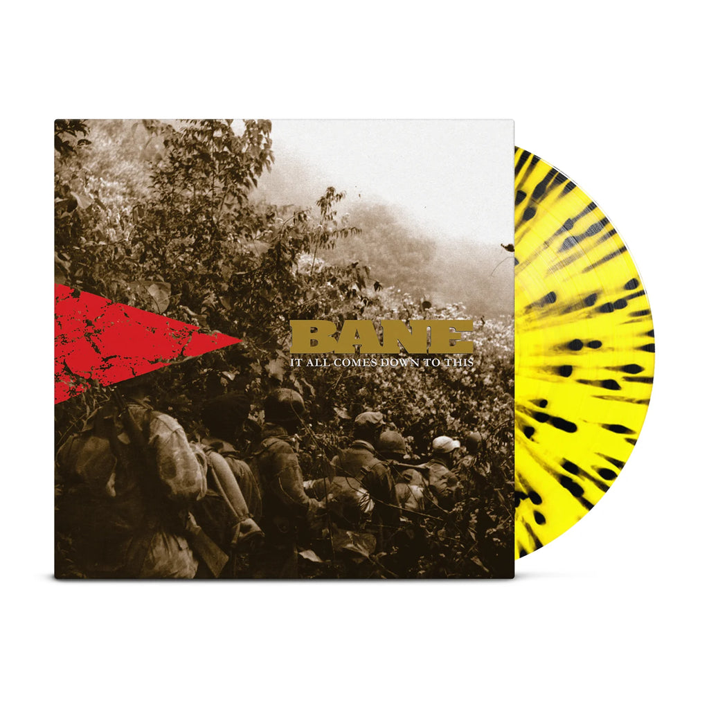 BANE - IT ALL COMES DOWN TO THIS LP
