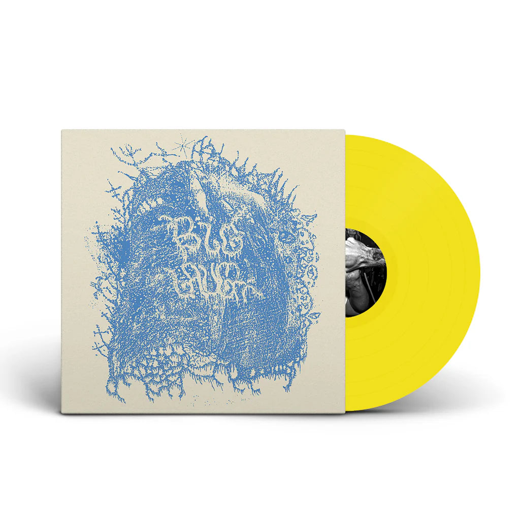 Big Laugh - Days Of Disarray LP ***