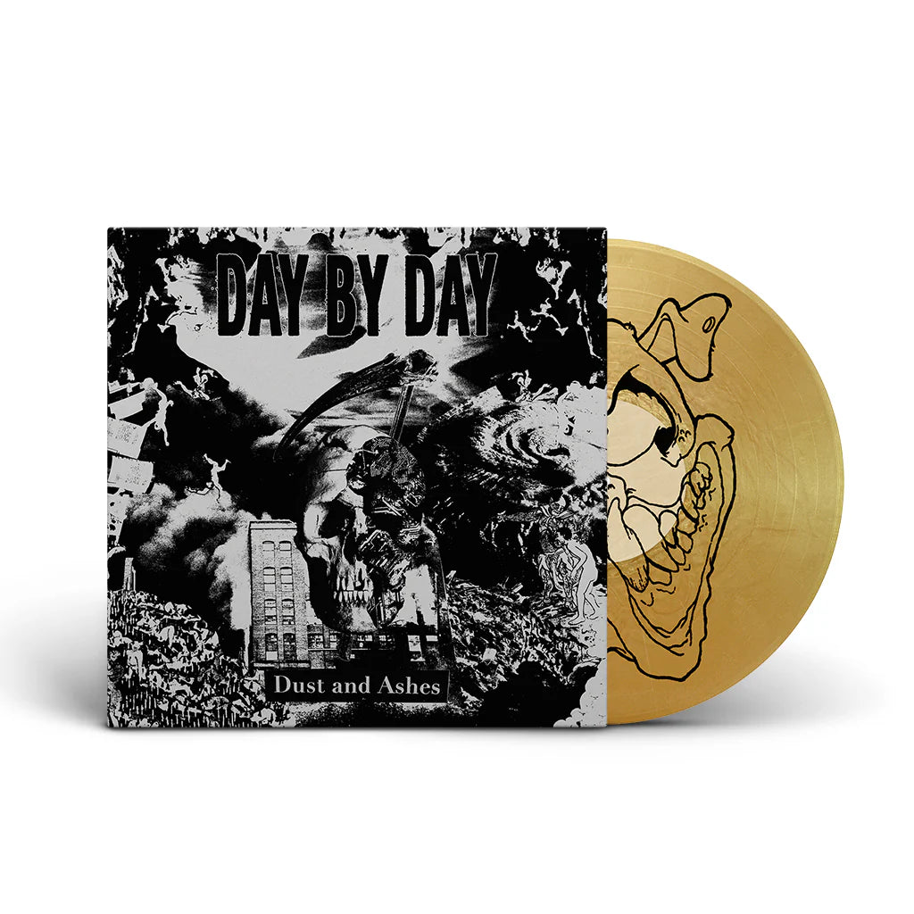 DAY BY DAY - DUST AND ASHES LP