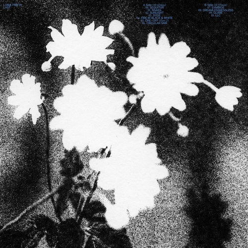 Loma Prieta - Last LP