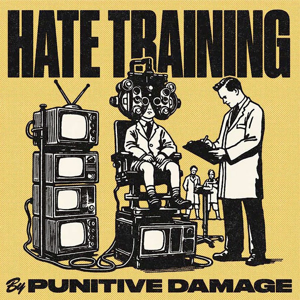 PUNITIVE DAMAGE - HATE TRAINING LP