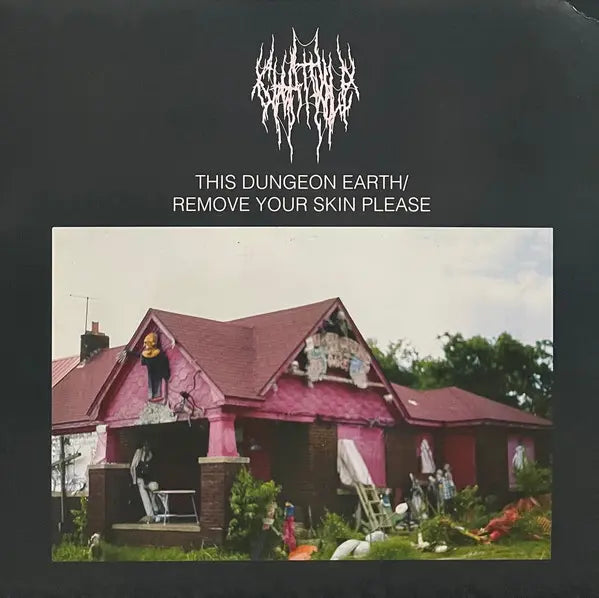 Chat Pile - This Dungeon Earth / Remove Your Skin Please LP