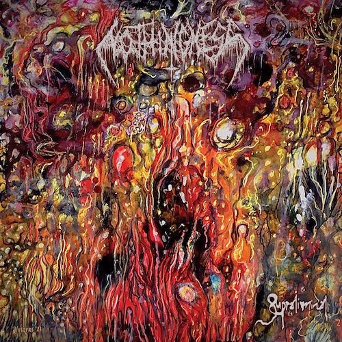Nothingness - Supraliminal LP