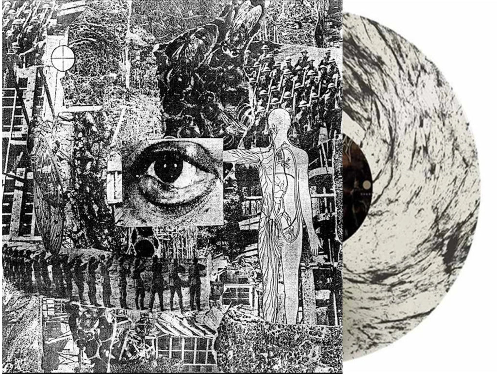Erosion - Invasive Species ***PRE ORDER***