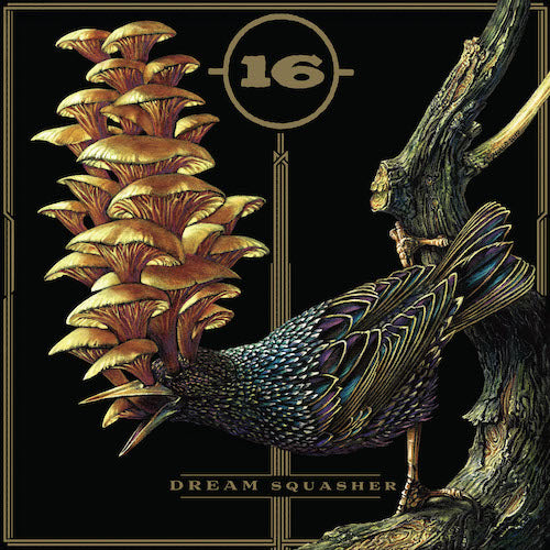 16 - Dream Squasher LP - Grindpromotion Records