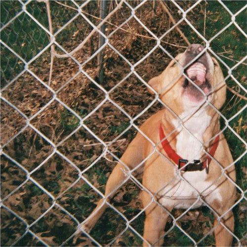 Knocked Loose – Pop Culture LP