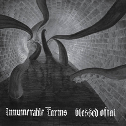 Innumerable Forms / Blessed Offal – Innumerable Forms / Blessed Offal LP