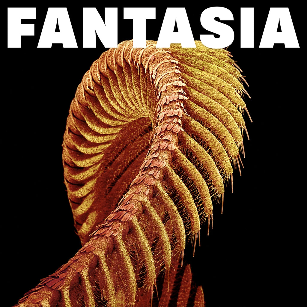 SLIFT - FANTASIA CD ***PRE ORDER***