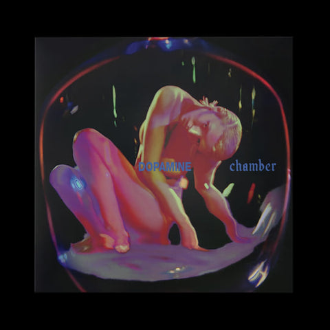FONTAINES D.C. - DOPAMINE CHAMBER 2XLP (DELUXE COVER 2LP + POSTER EDITION) ***PRE ORDER***