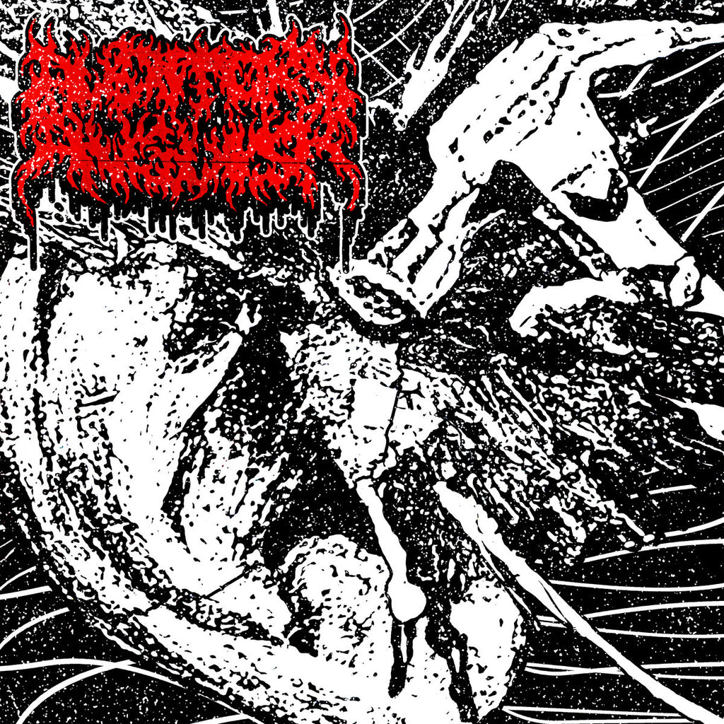 Auditory Anguish - AFA CD ***PRE ORDER***