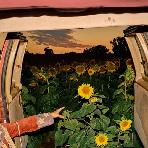 Kevin Morby ‎– Little Wide Open 2XLP