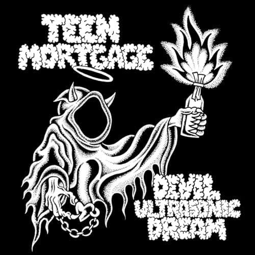 Teen Mortgage ‎– Devil Ultrasonic Dream LP