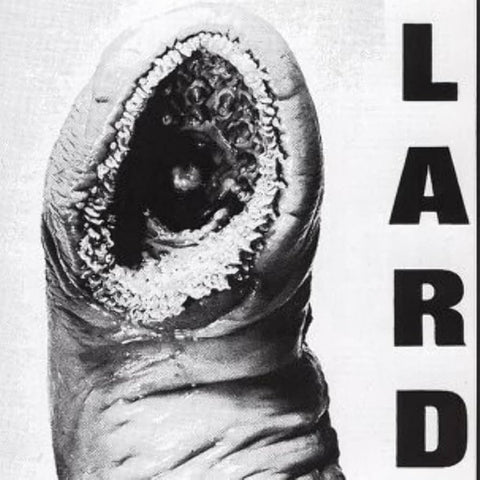 Lard - The Power Of Lard LP ***PRE ORDER***