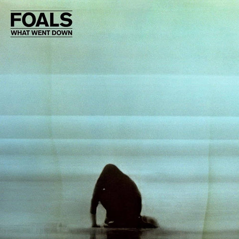 Foals – What Went Down LP