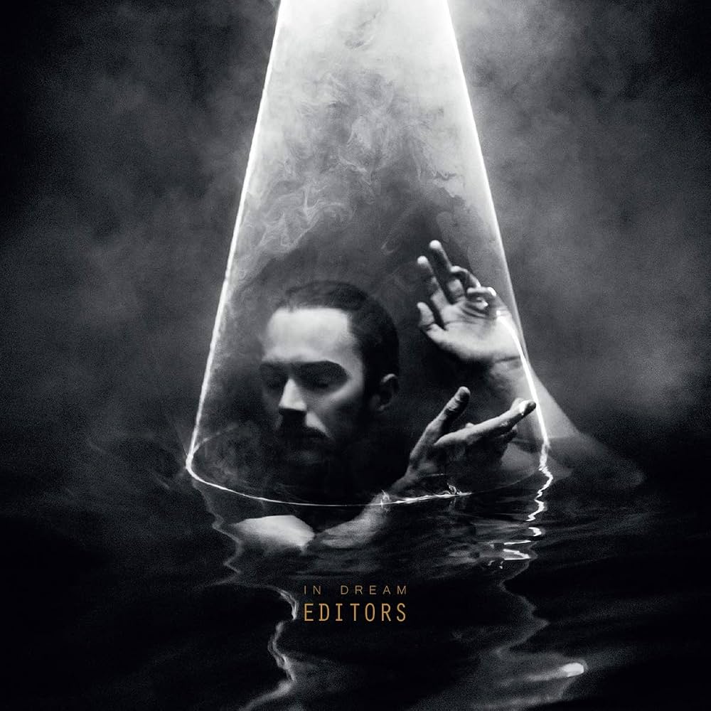 Editors - In Dream LP