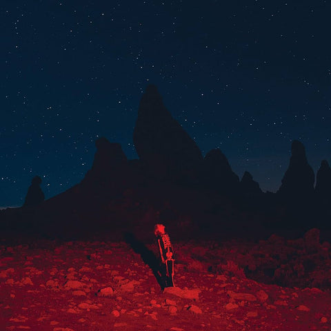 Phoebe Bridgers - Punisher LP