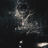 BLIND GIRLS - AN EXIT EXISTS LP