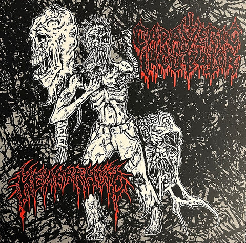 CADAVERIC INCUBATOR / HEMORRHOID – Split 7″ ***PRE ORDER***