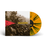 BANE - IT ALL COMES DOWN TO THIS LP ***PRE ORDER*** - Grindpromotion Records
