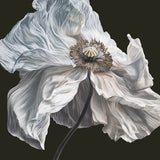 Quicksand - Bring On The Psychics LP ***PRE ORDER***