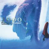 Fleshwater - 2000: In Search Of The Endless Sky CD ***PRE ORDER***
