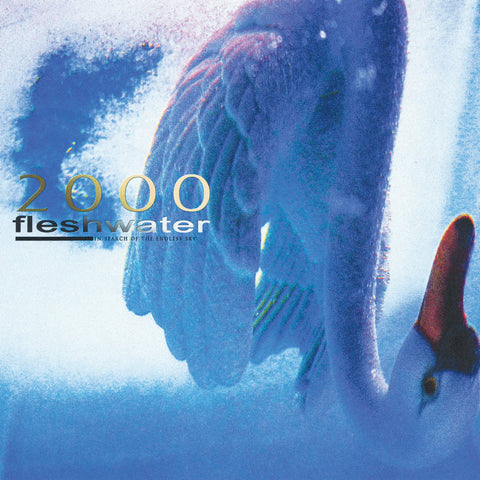 Fleshwater - 2000: In Search Of The Endless Sky LP ***PRE ORDER***