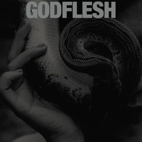 Godflesh ‎– Purge LP
