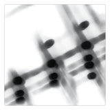 GREGOR SAMSA - 40:13.5 LP