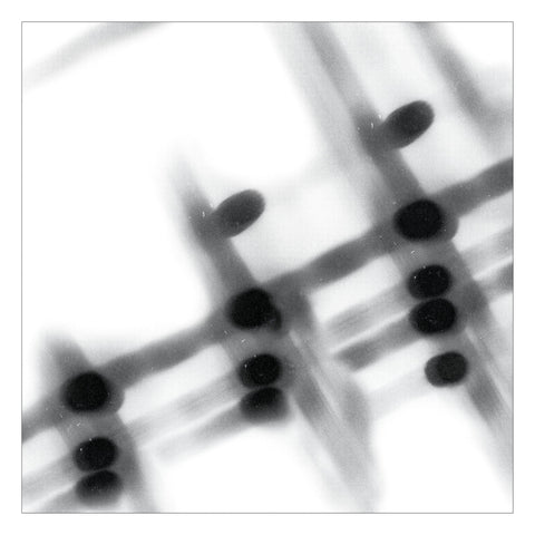 GREGOR SAMSA - 40:13.5 LP