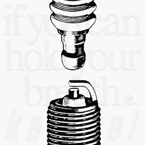 karate - If you can hold your breath 4XLP