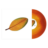 La Quiete - La Fine Non è La Fine LP