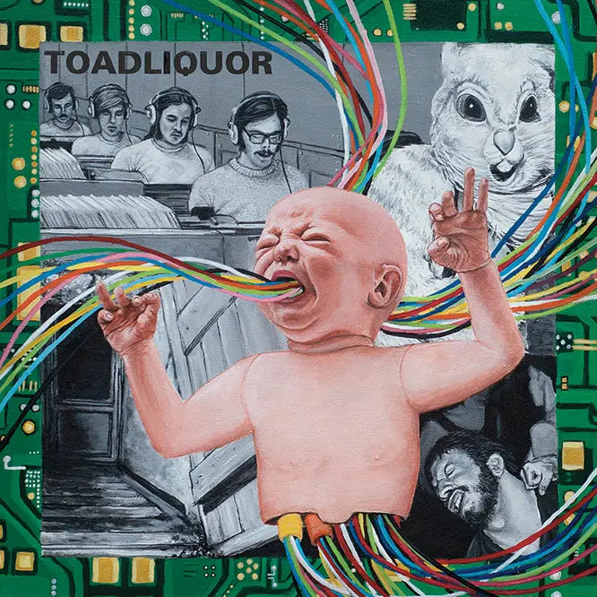 Toadliquor ‎– Back In The Hole LP