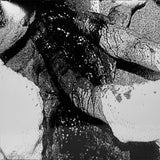 Mangled State - Post Mortem Convulsion LP ***PRE ORDER***