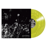 New Forms - Nothing's Sacred Anymore LP ***PRE ORDER***