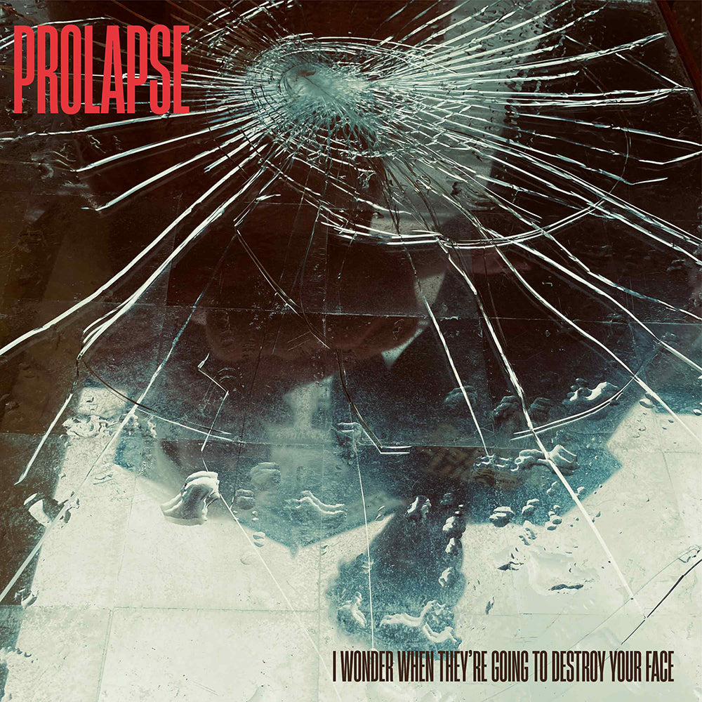 PROLAPSE - I Wonder When They’re Going To Destroy Your Face ***PRE ORDER***
