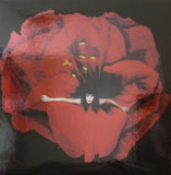 Smashing Pumpkins – Adore 2XLP