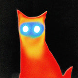 Basement - Wired CD ***PRE ORDER***