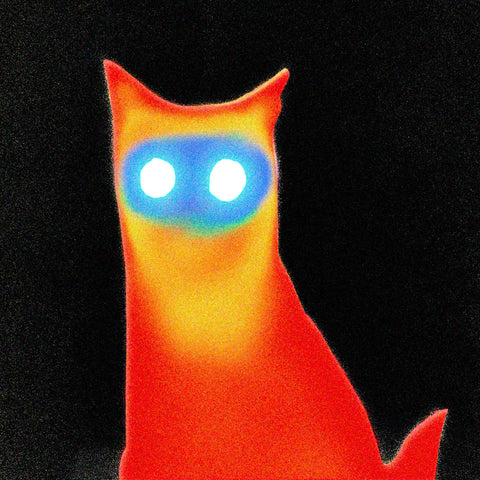 Basement - Wired TAPE ***PRE ORDER***