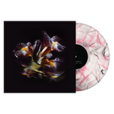 Raein - Forme Sommerse LP ***PRE ORDER***