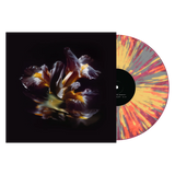 Raein - Forme Sommerse LP ***PRE ORDER***