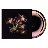 Raein - Forme Sommerse LP ***PRE ORDER***