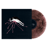 Raein / Daitro - Split LP ***PRE ORDER***