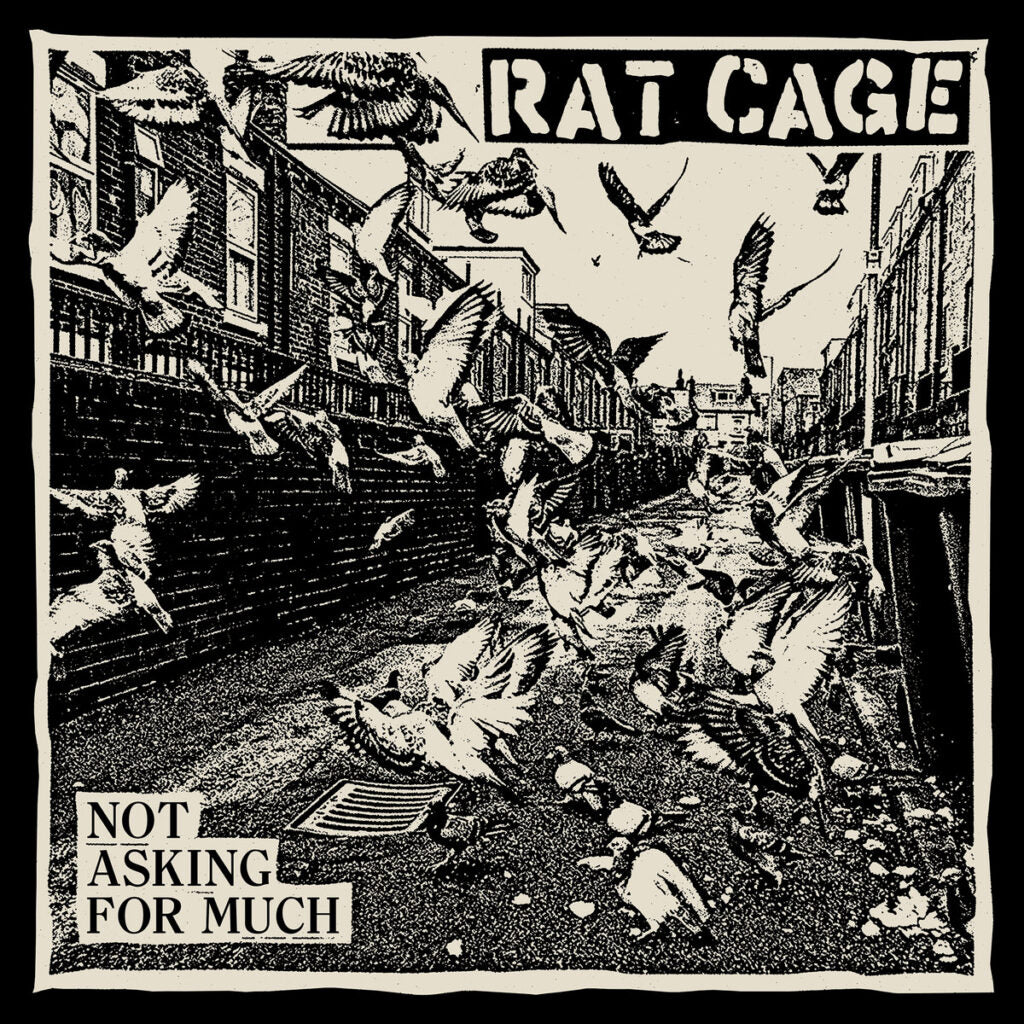 RAT CAGE – Not Asking For Much LP