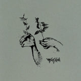 Rosemary Nods Upon The Grave - EP 1 & EP 2 LP ***PRE ORDER***