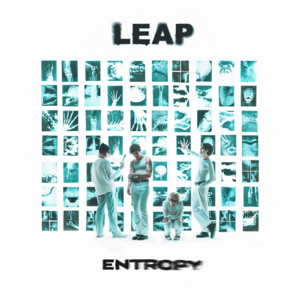 Leap - Entropy LP