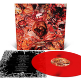 FesterDecay - From Demo To Rot LP ***PRE ORDER***