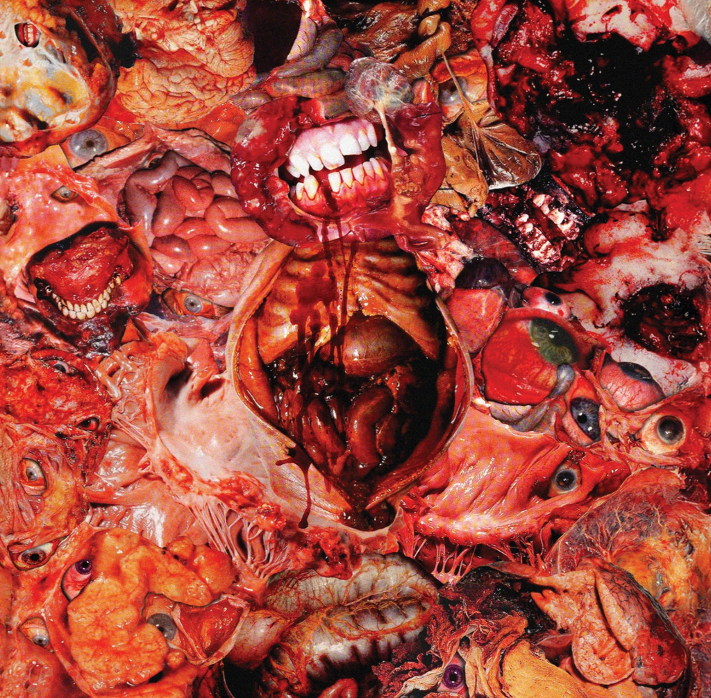 FesterDecay - From Demo To Rot LP ***PRE ORDER***