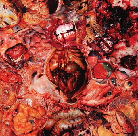 FesterDecay - From Demo To Rot CD ***PRE ORDER***