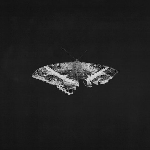 Kendrick Lamar – To Pimp A Butterfly 10th anniversary 2XLP